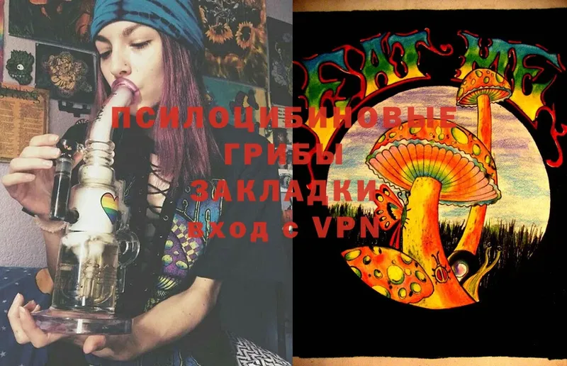 Галлюциногенные грибы Magic Shrooms  купить  сайты  Озёры 